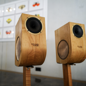 SoundKaos VOX3f luidspreker